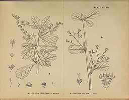  no thumbnail available (2)