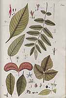  no thumbnail available (2)