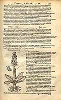  no thumbnail available (2)