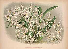  no thumbnail available (2)