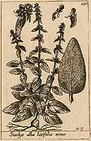  no thumbnail available (2)