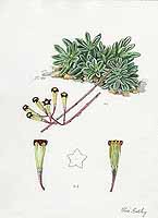  no thumbnail available (2)