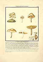  no thumbnail available (2)