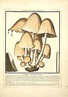  no thumbnail available (2)