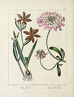  no thumbnail available (2)