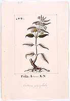  no thumbnail available (2)