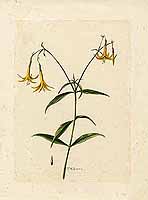  no thumbnail available (2)