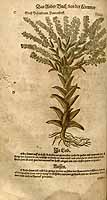  no thumbnail available (2)