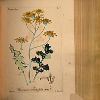  no thumbnail available (2)
