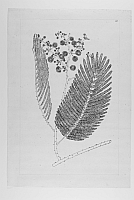  no thumbnail available (2)