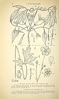 no thumbnail available (2)