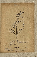  no thumbnail available (2)