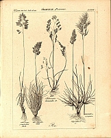  no thumbnail available (2)