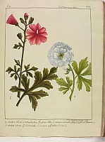  no thumbnail available (2)