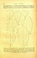  no thumbnail available (2)