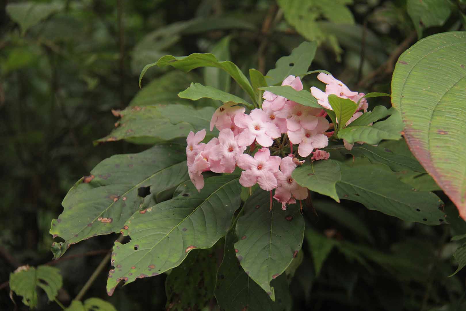 no HD photo available (m2)